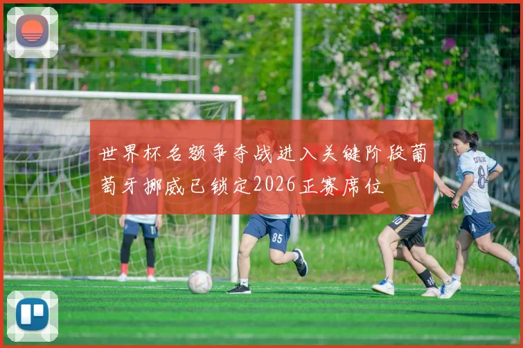 世界杯名额争夺战进入关键阶段葡萄牙挪威已锁定2026正赛席位
