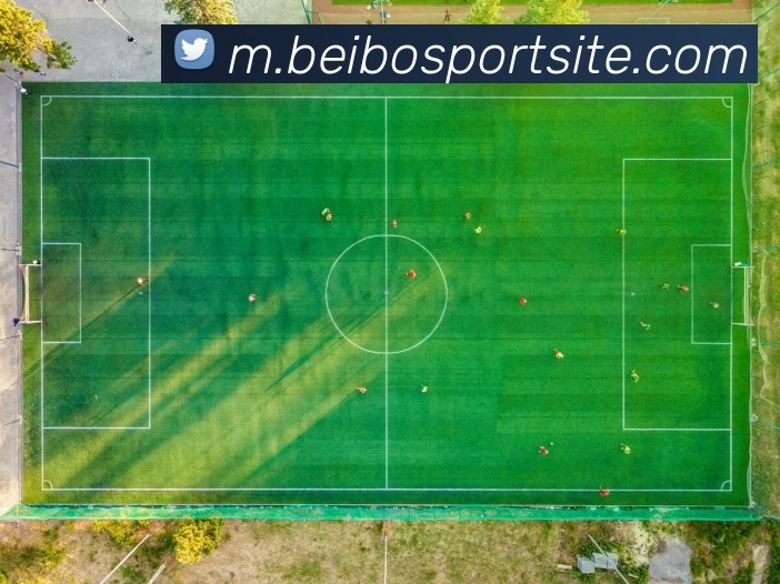 贝博体育服务体系